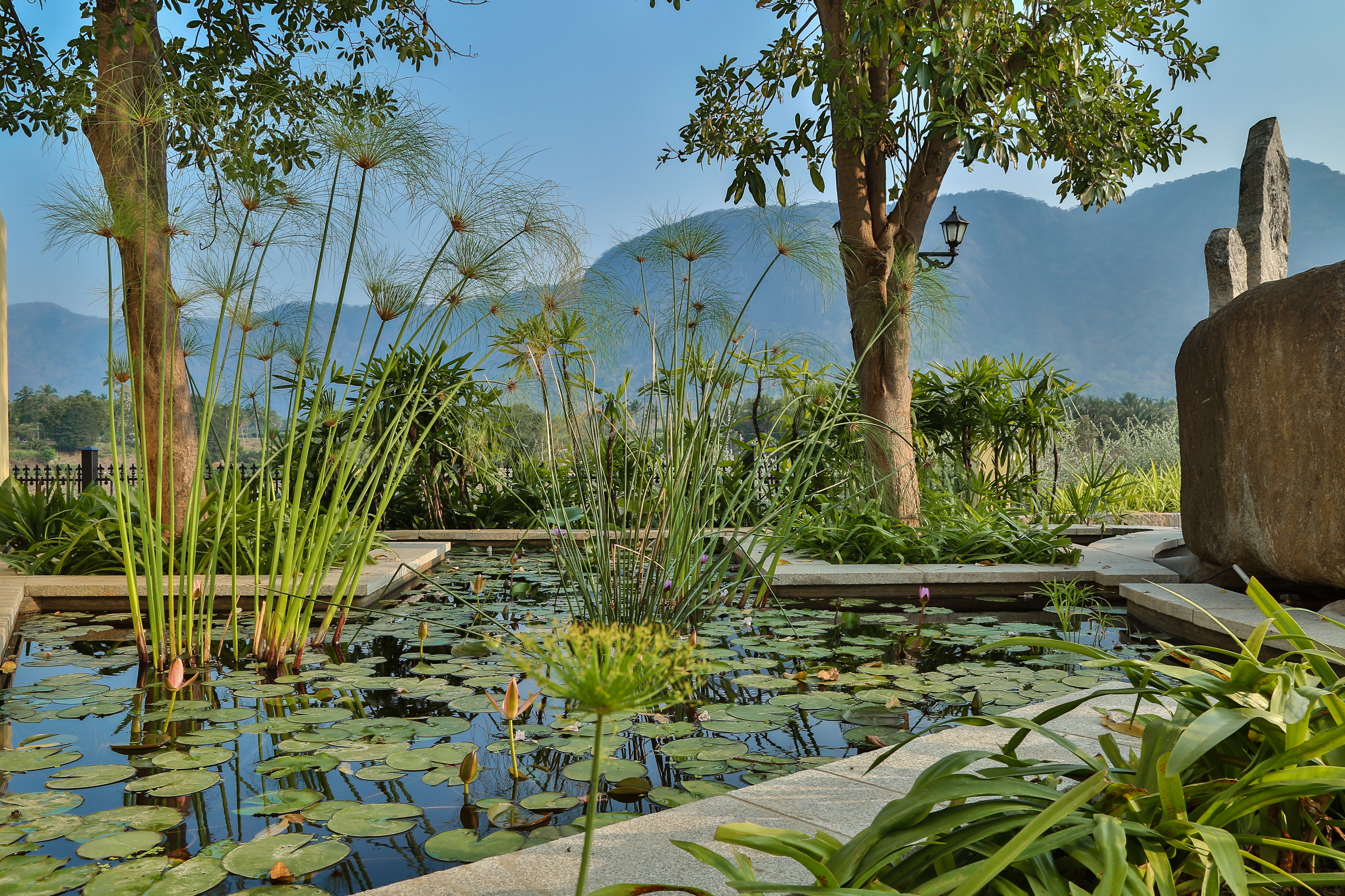 luxury resorts near coimbatore